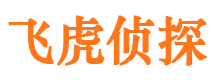 靖江市婚外情取证